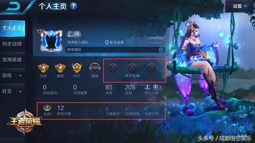 王者师叔爆料视频下载,深度解析游戏内幕与精彩瞬间 第3张 王者师叔爆料视频下载,深度解析游戏内幕与精彩瞬间 第3张